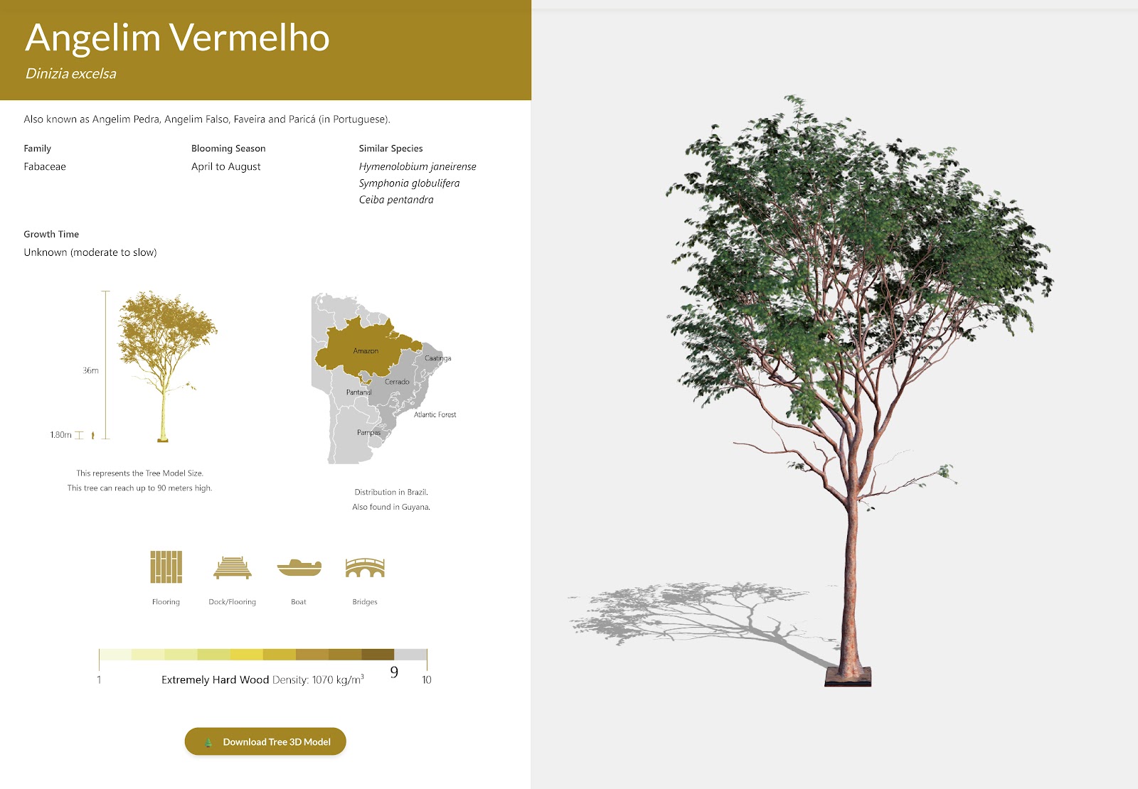 「SpeedTree」を用いたアマゾン熱帯雨林の樹種のデジタルアーカイブ化-thumb-1
