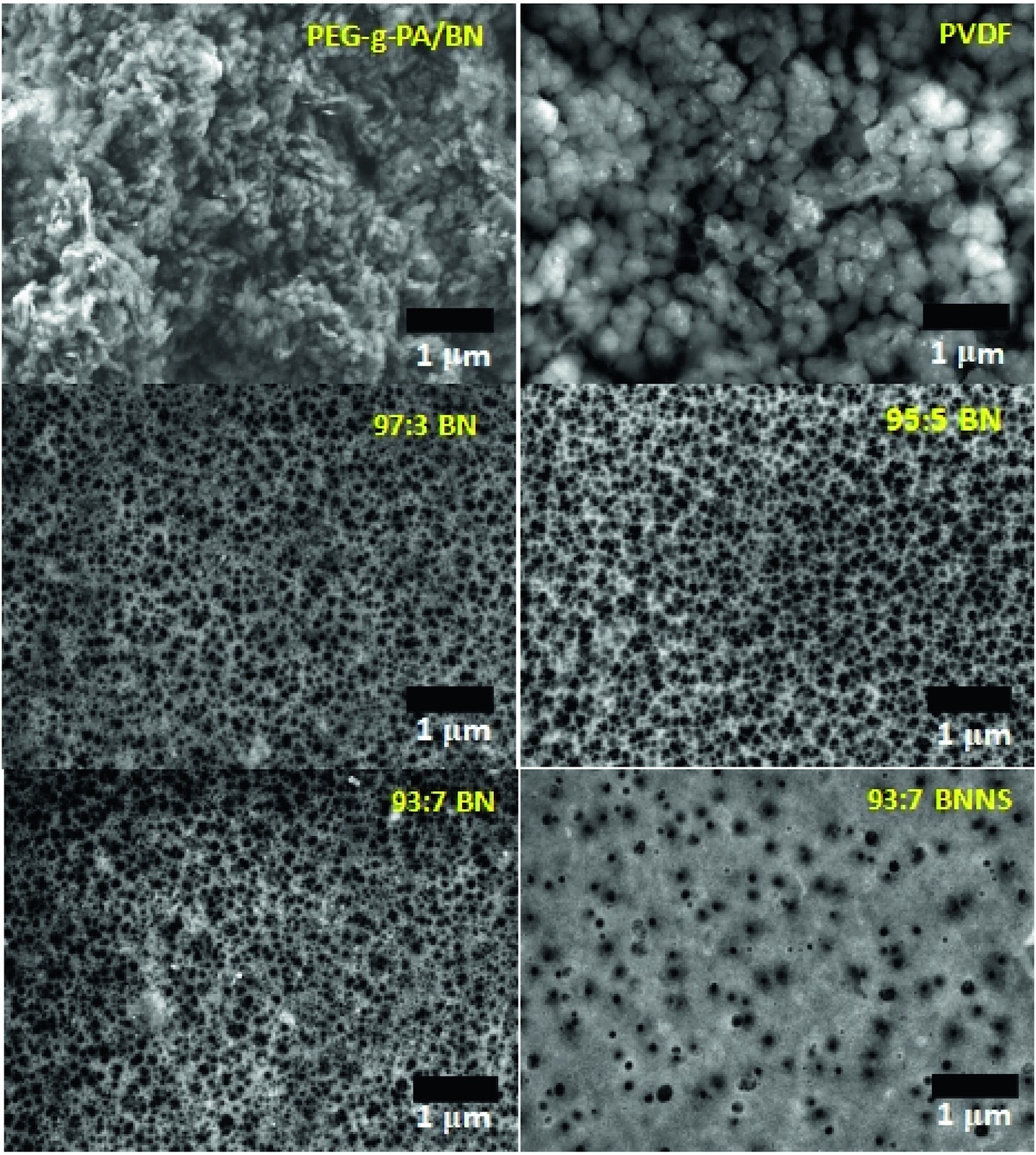 Preparation of an adsorptive membrane of polyvinylidene fluoride incorporated functionalized boron nitride nanosheets for arsenic removal