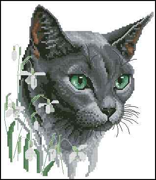 CMP 400163 Green Eyed Cat