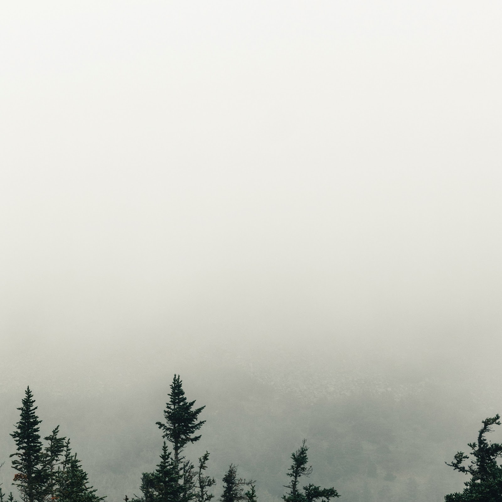 Download Foggy Landscape, Forest, Mountain, Nature 4K iPhone