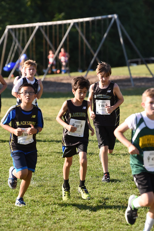 Photo from MS: Cross Country of Naveed Jantzen