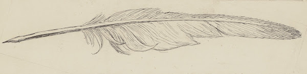 Feder ca 1905