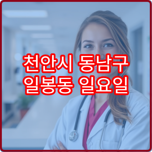 천안시 동남구 일봉동 일요일 정형외과 진료 병원 발목 염좌 치료