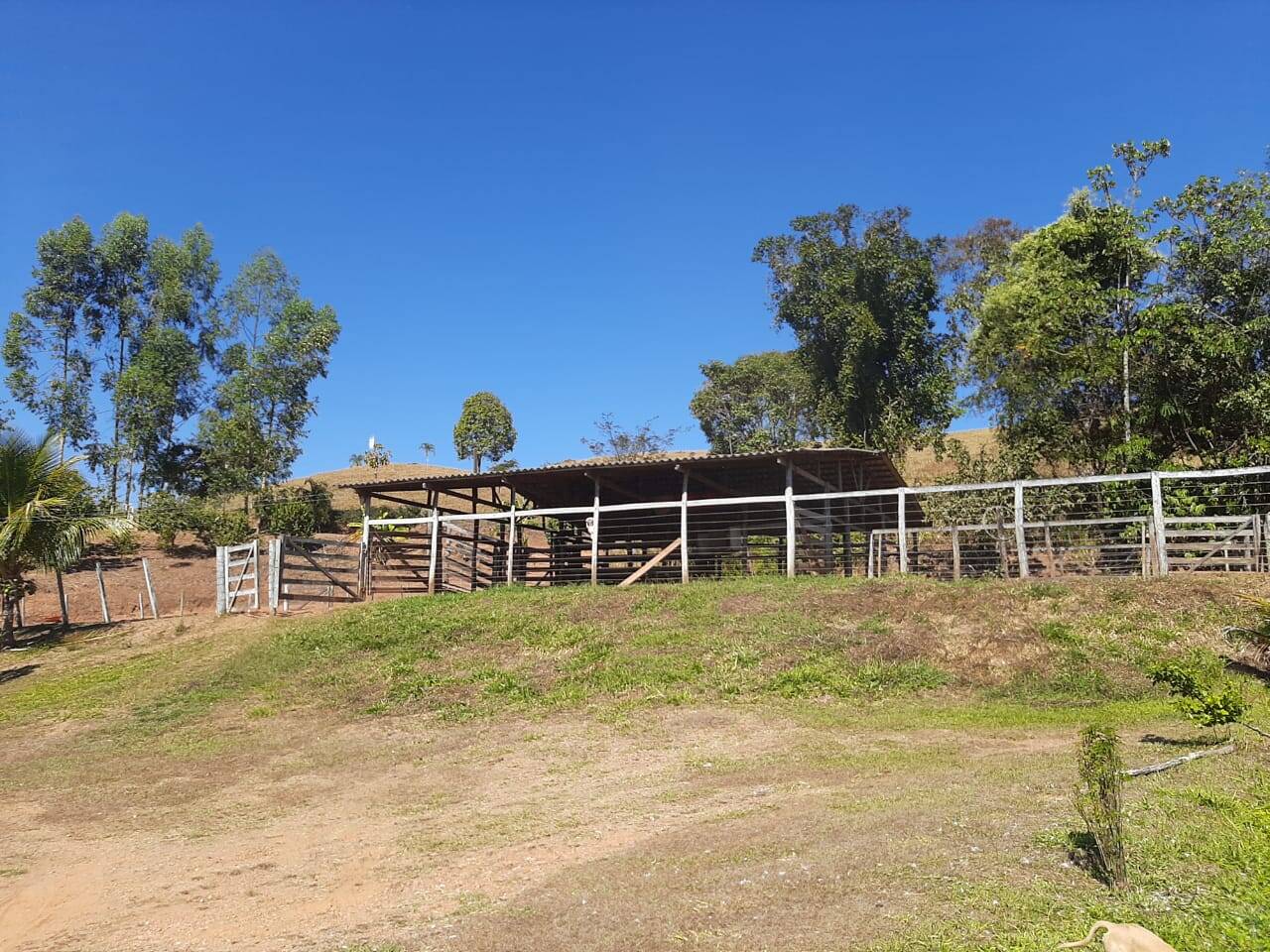 Fazenda em São Miguel do Passa Quatro - GO 9