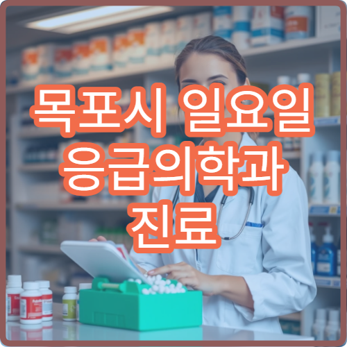 목포시 일요일 응급의학과 진료 응급실 운영 병원 위치 안내