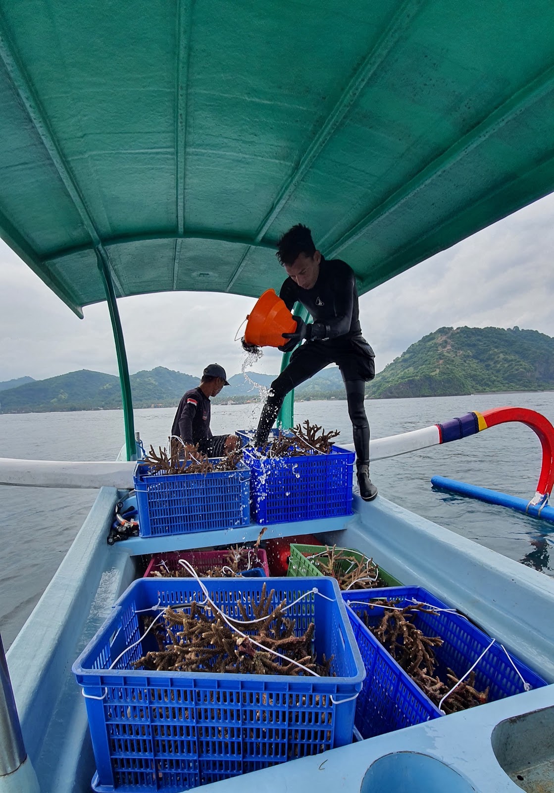 Coral restoration bali, coral planting bali, Padangbai’s coral reef ecosystem. CarbonEthics Indonesia