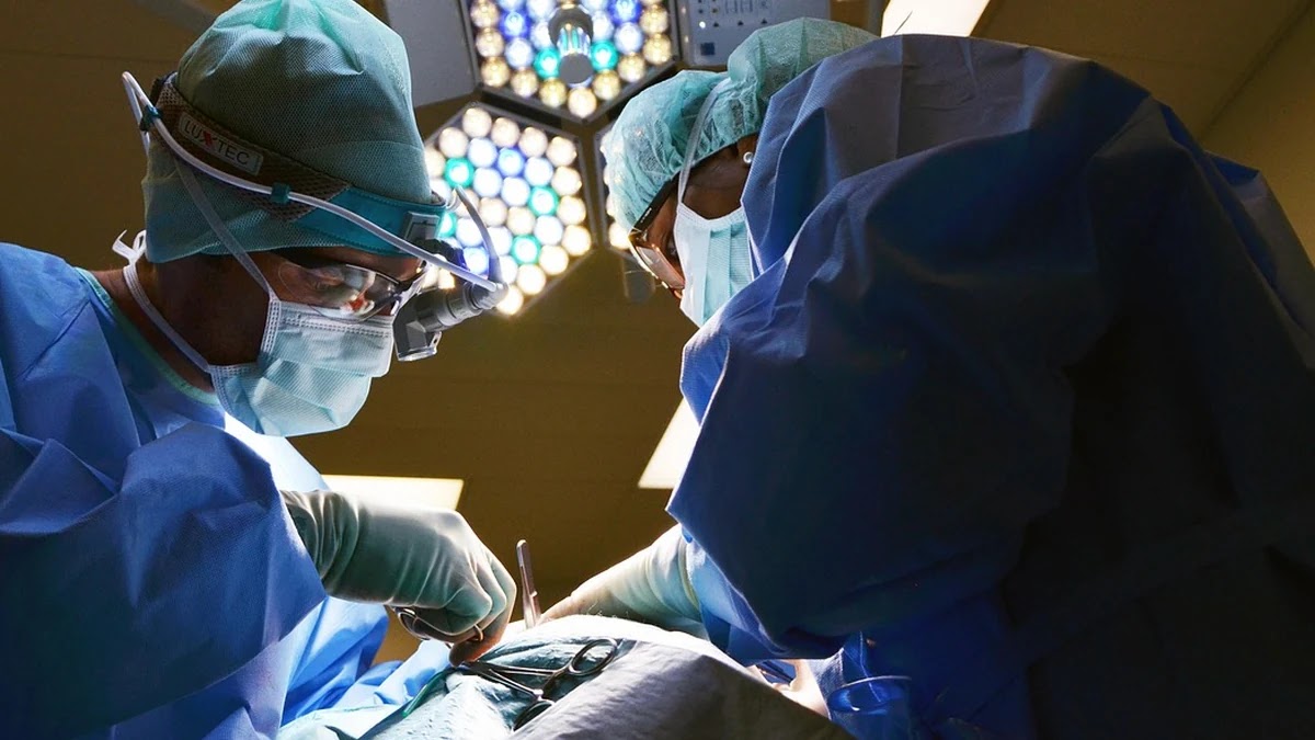 실손보험료 절감 위한 보험금