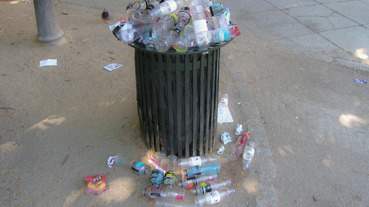 자취 생활 중 발생하는 쓰레기 분리배출 기준과 관리법