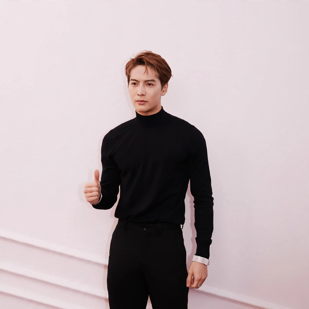 Men's pullover with stand-up collar, fitted