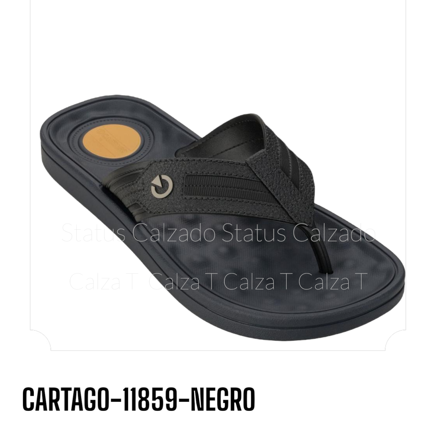 CARTAGO-11859-NEGRO