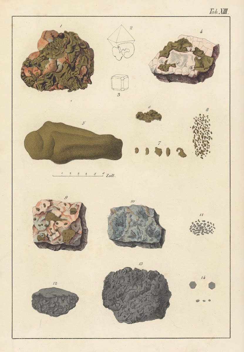 Plate XIII Gold Platinum Iridium 1859