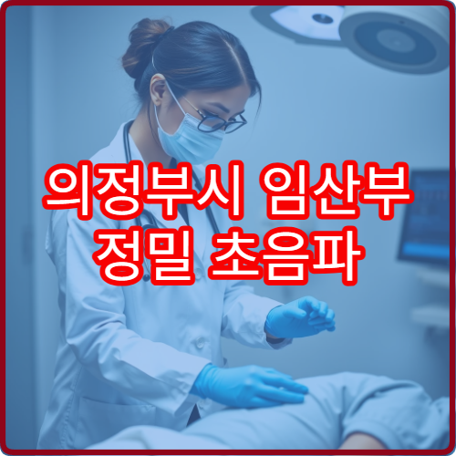 의정부시 임산부 정밀 초음파 및 산전 검사 제공 병원 정보