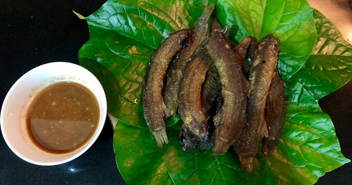 Trạch chiên lá lốt