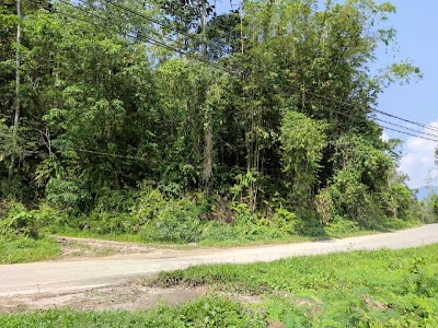 Tanah Pertanian 1.5 Ekar Janda Baik, Bentong — foto 7/9