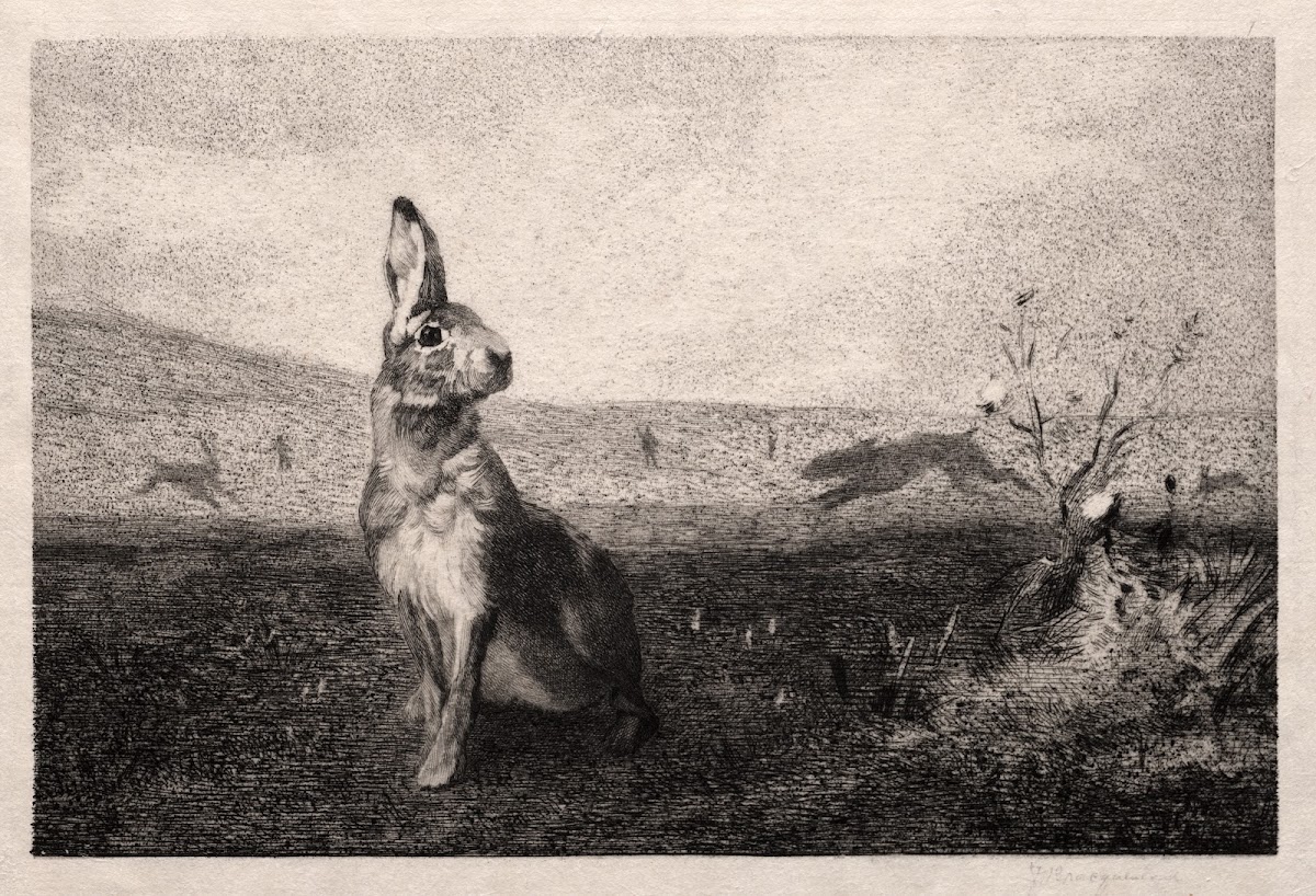 The Hare after A de Balleroy 1865