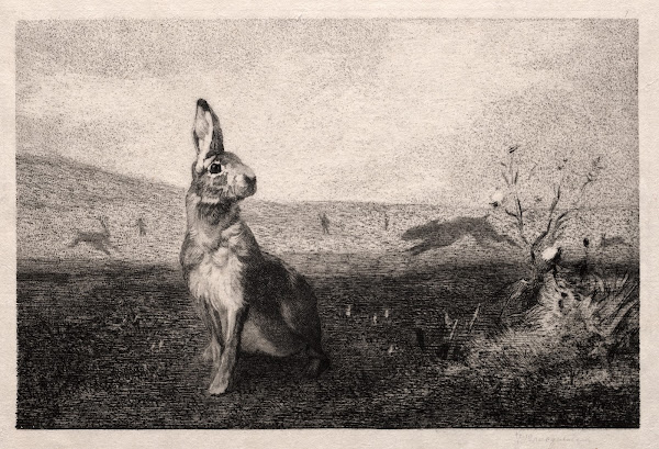 The Hare after A de Balleroy 1865