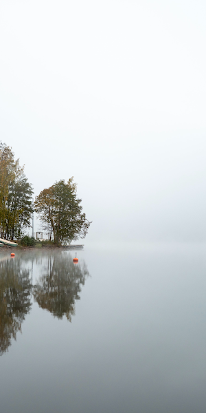 Fog, Lakeside, Reflection, Autumn 4K Wallpaper Background