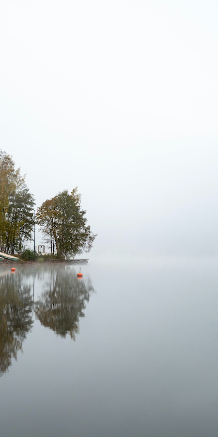 Fog, Lakeside, Reflection, Autumn 4K Phone Wallpaper
