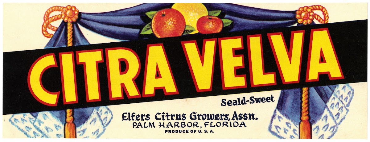 Citra Velva Citrus Label 1930 1950