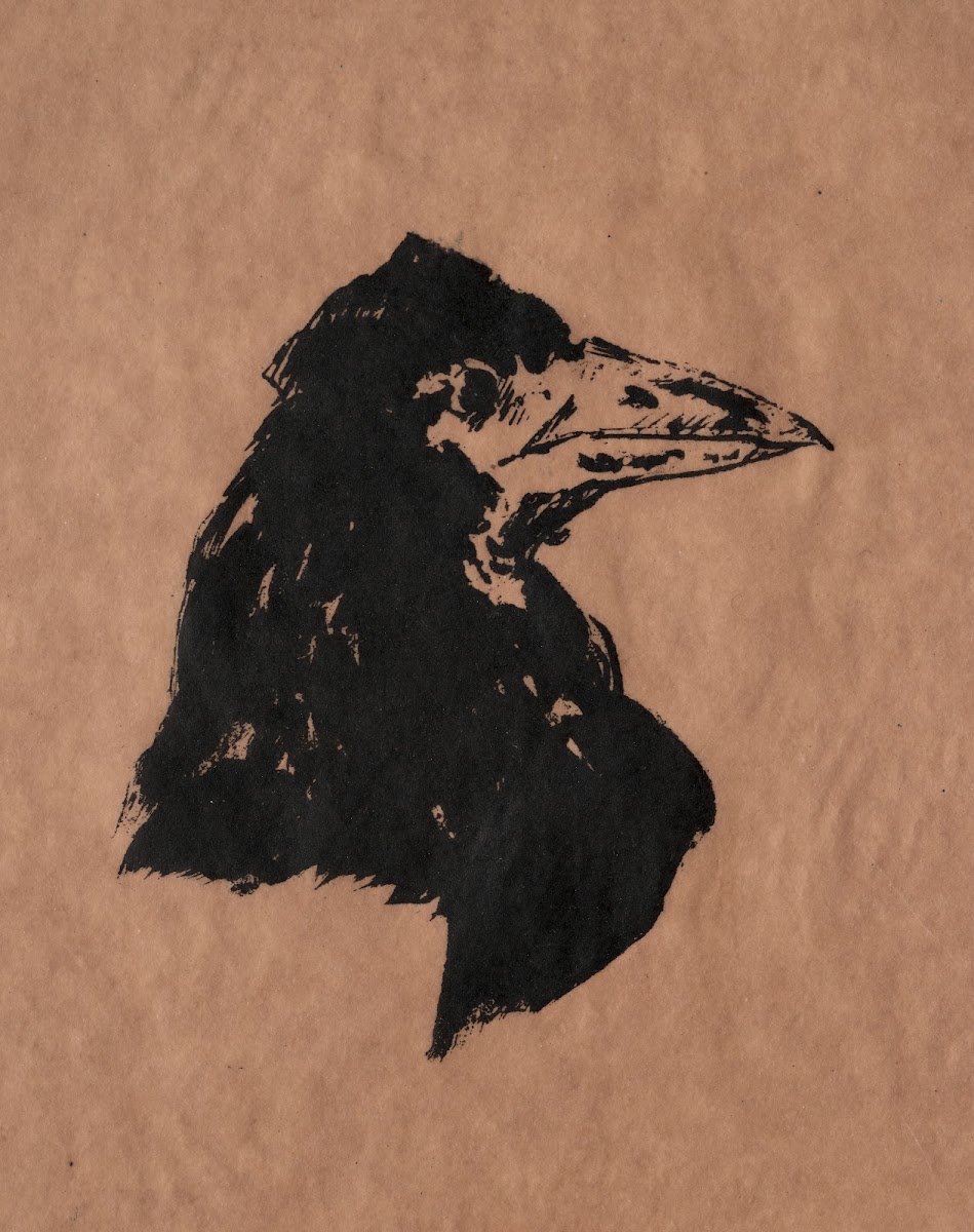 Ravens Head in Profile 1875