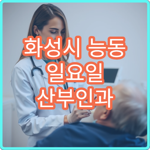 화성시 능동 일요일 산부인과 병원 안내 공휴일 산부인과 정보