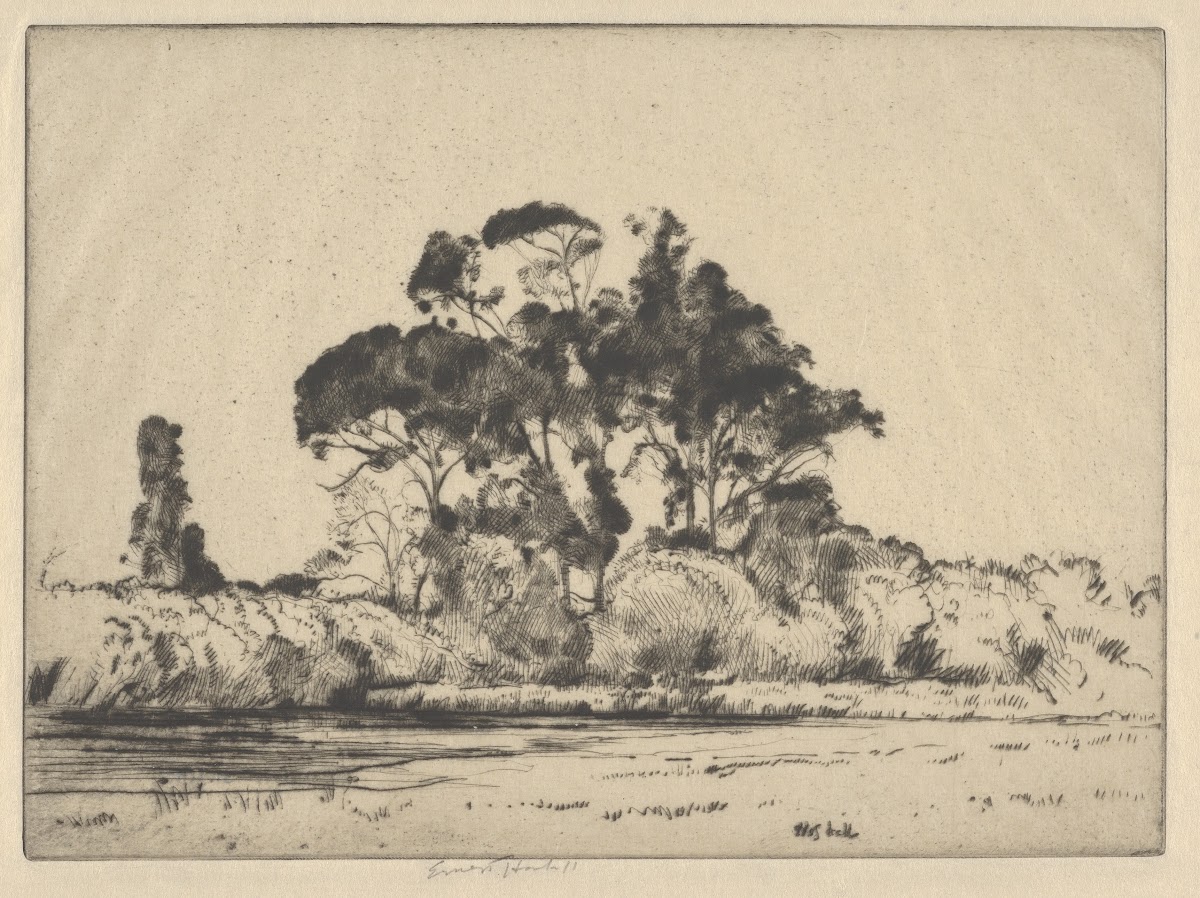 Feathery Trees 1900 1925