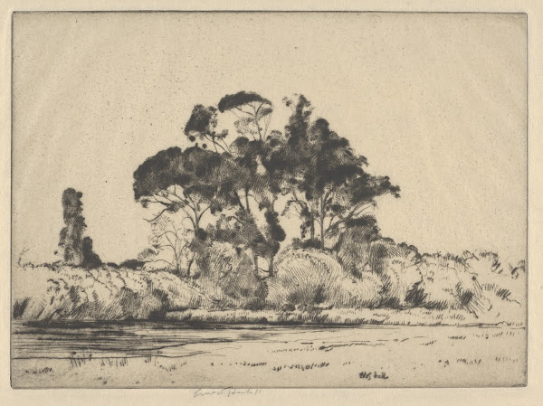 Feathery Trees 1900 1925