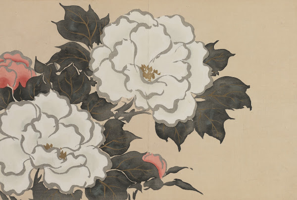 Peonies Fukamigusa 1909 1910