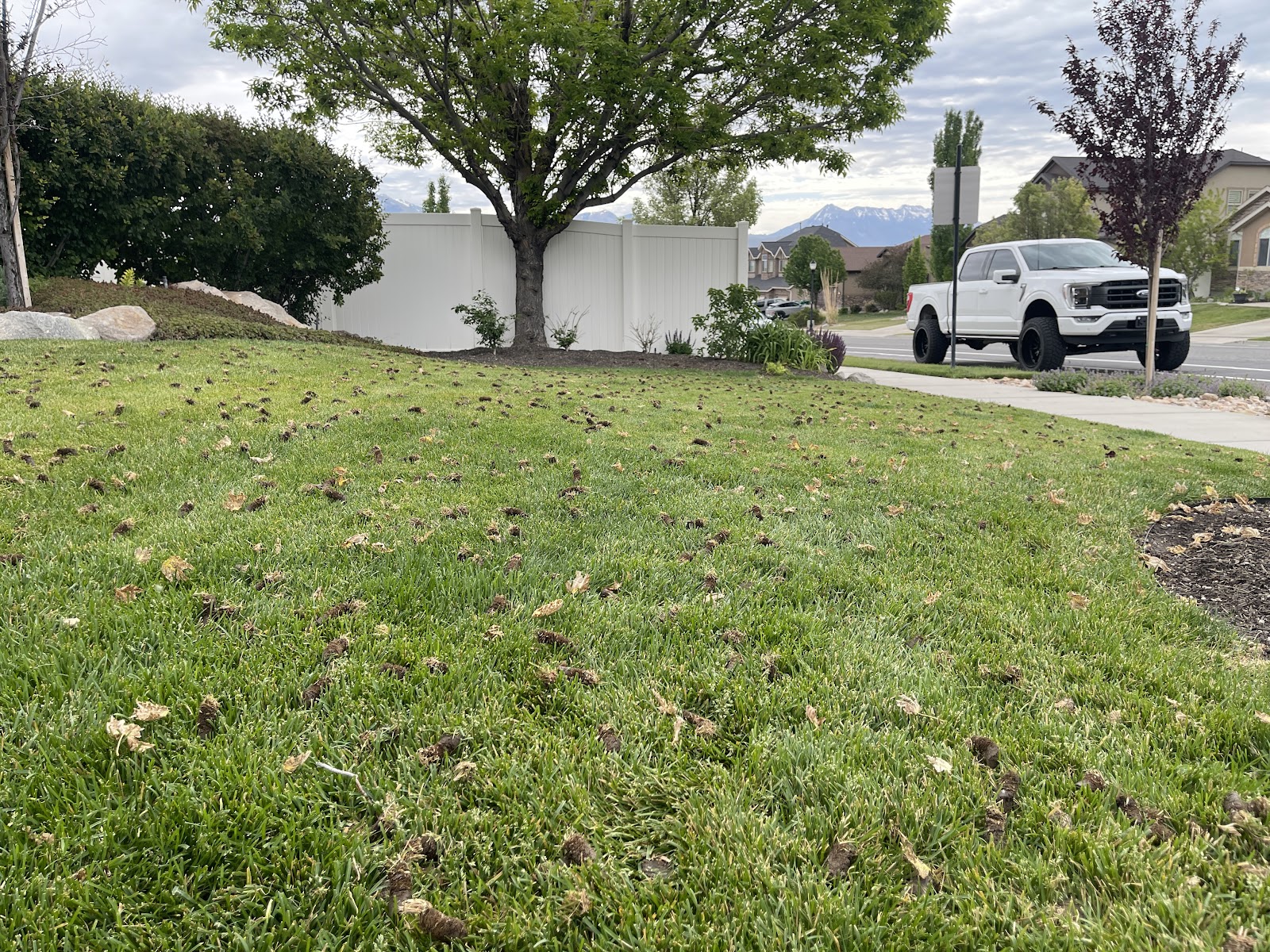 Ut lawn Care work portfolio 5
