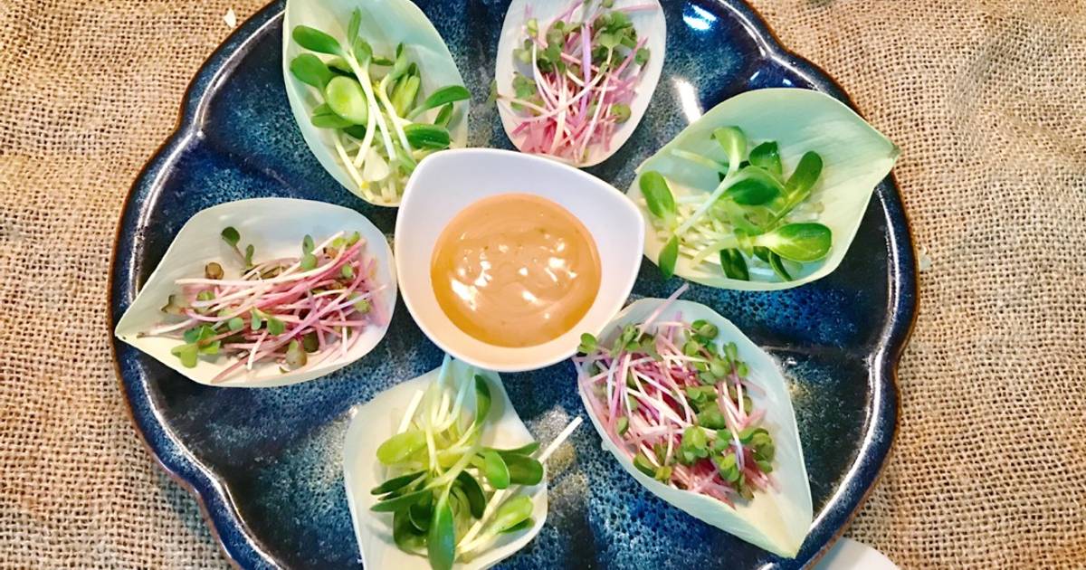 Salad rau mầm
