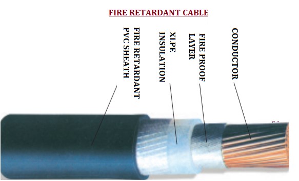 Cover image 1