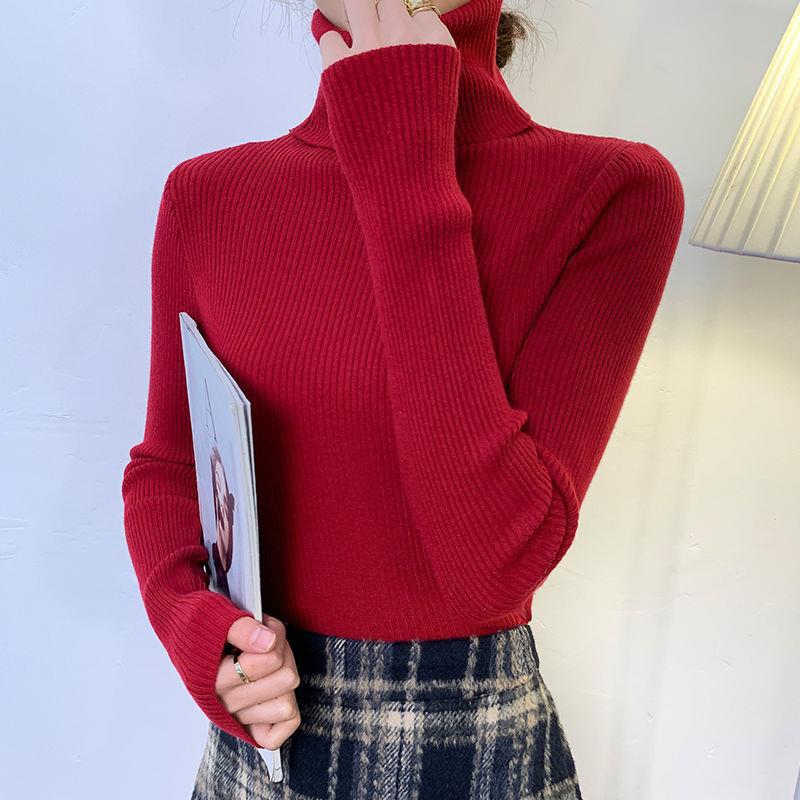 Women’s turtleneck sweater, long-sleeved, plus sizes