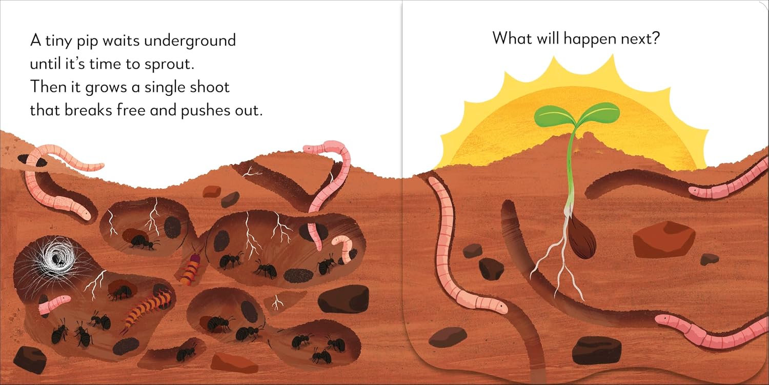 Pop-Up Peekaboo! Tree - thumbnail 3
