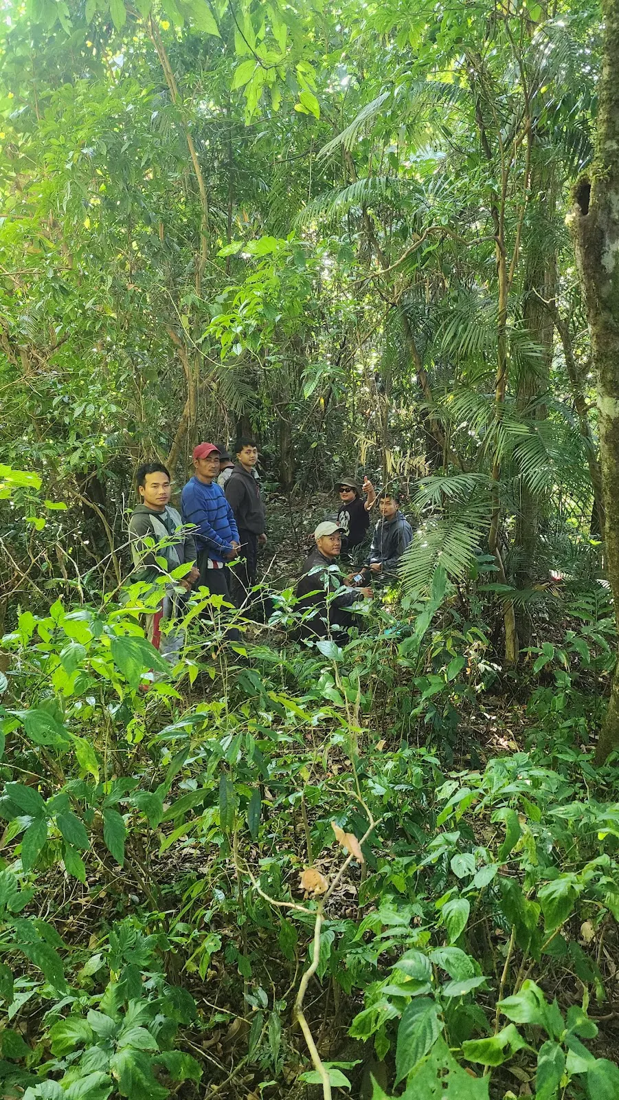Thorang
