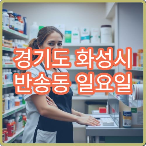 경기도 화성시 반송동 일요일 내과 진료 병원 안내 주말 내과 영업 확인