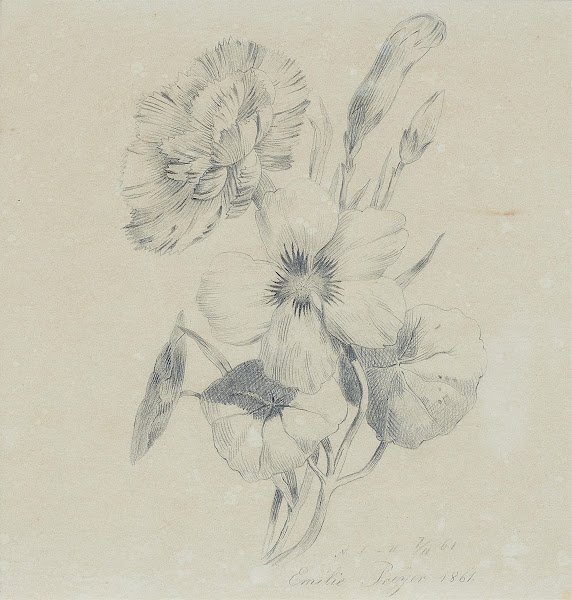 Nelkenblüten und Knospen 1861