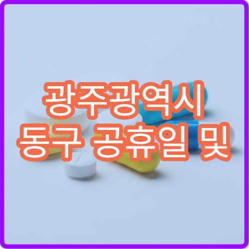 광주광역시 동구 공휴일 및 대체 공휴일 이용 가능한 약국 위치 확인