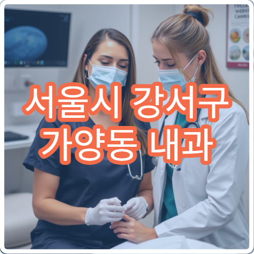 서울시 강서구 가양동 내과 야간 진료 감기 복통 소화불량 진료 병원