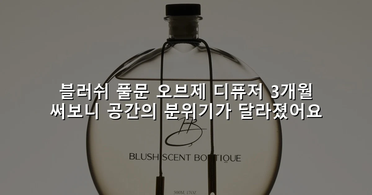 블러쉬 풀문 오브제 디퓨저 3개월 써보니 공간의 분위기가 달라졌어요