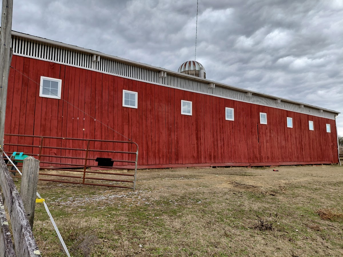 Barn window restoration by Sunflower Contracting LLC in East Tennessee