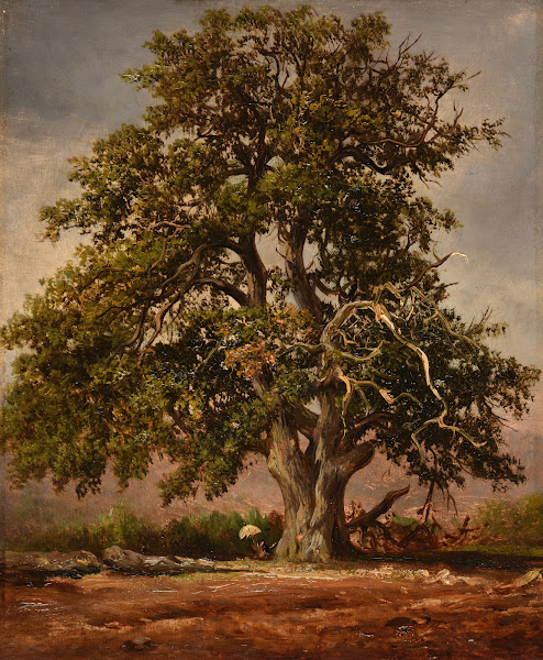 Le Vieux chêne