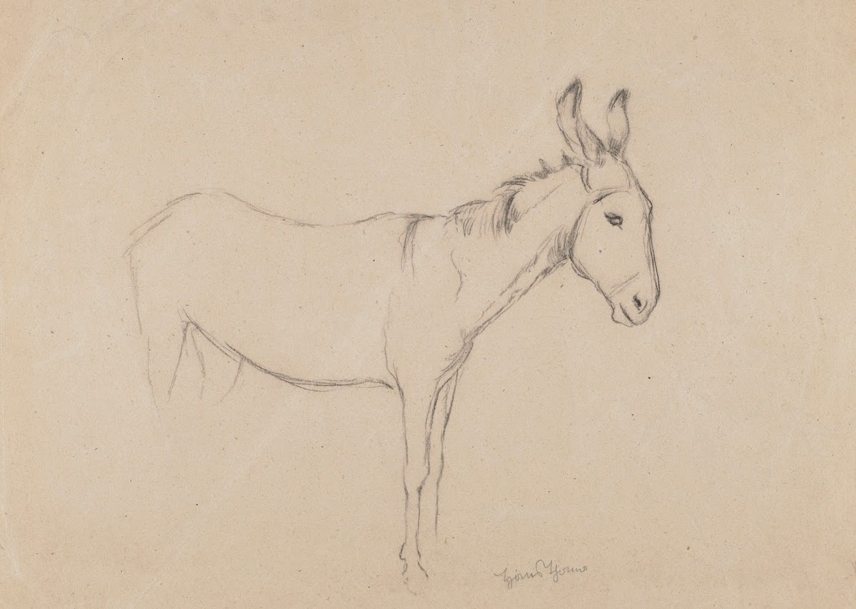 Donkey 1908