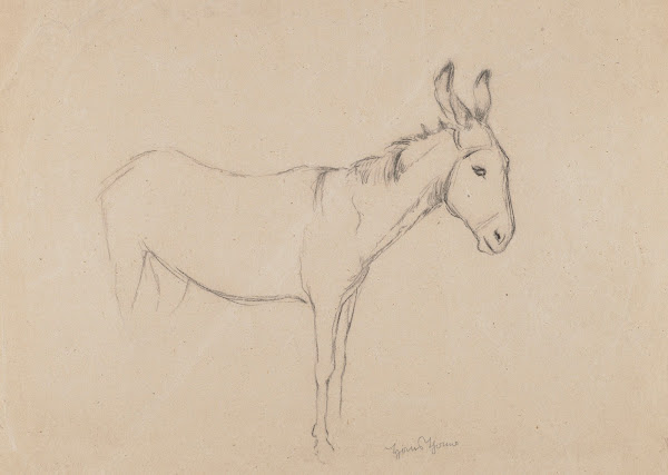 Donkey 1908