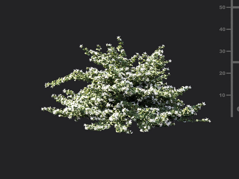 Maxtree - Plant Models Vol.119