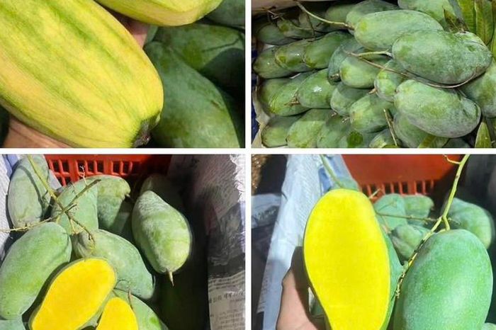 Loại quả Việt đang vào mùa, bán đầy chợ giá chỉ hơn chục nghìn đồng/kg ai đi mua trái cây cũng rinh về - Chuyên trang Gia Đình &amp; Xã Hội - Báo Sức khỏe &amp; Đời sống