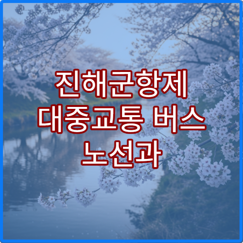 진해군항제 대중교통 버스 노선과 KTX 경남선 이용 가이드