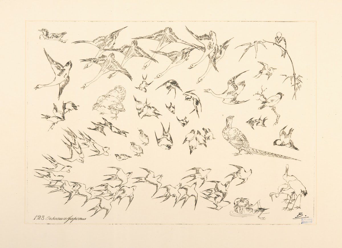 Oiseaux japonais 1866   1878