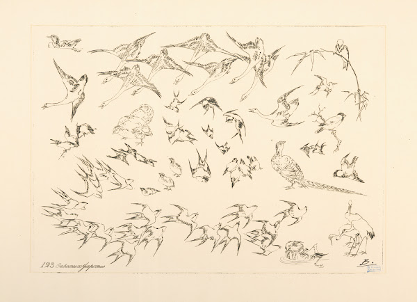 Oiseaux japonais 1866   1878