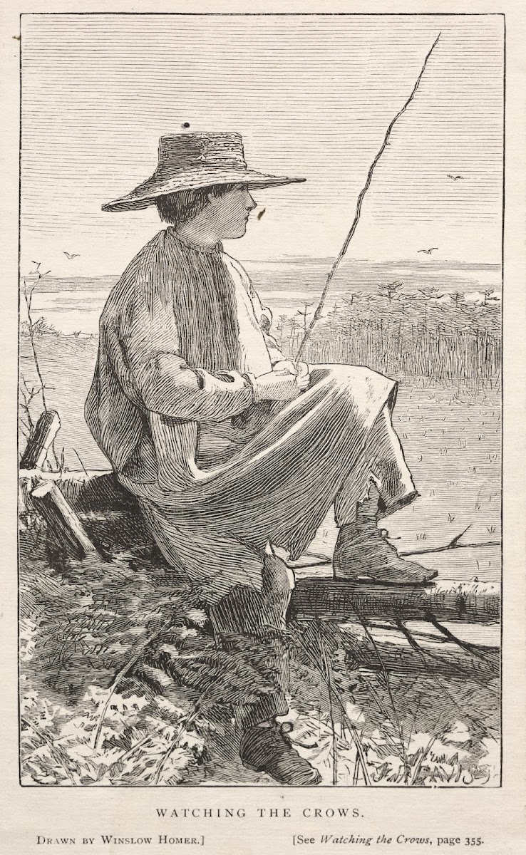 Watching the Crows 1868