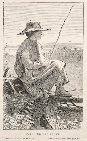 Watching the Crows 1868